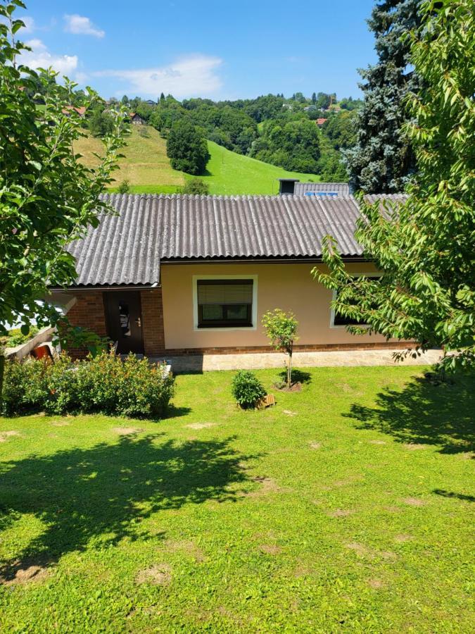 Ferienhaus Zangl Am Seggauberg - Suedsteiermark ライプニッツ エクステリア 写真