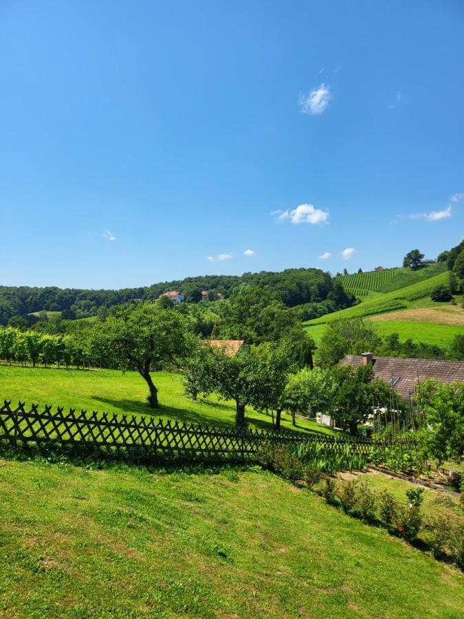 Ferienhaus Zangl Am Seggauberg - Suedsteiermark ライプニッツ エクステリア 写真
