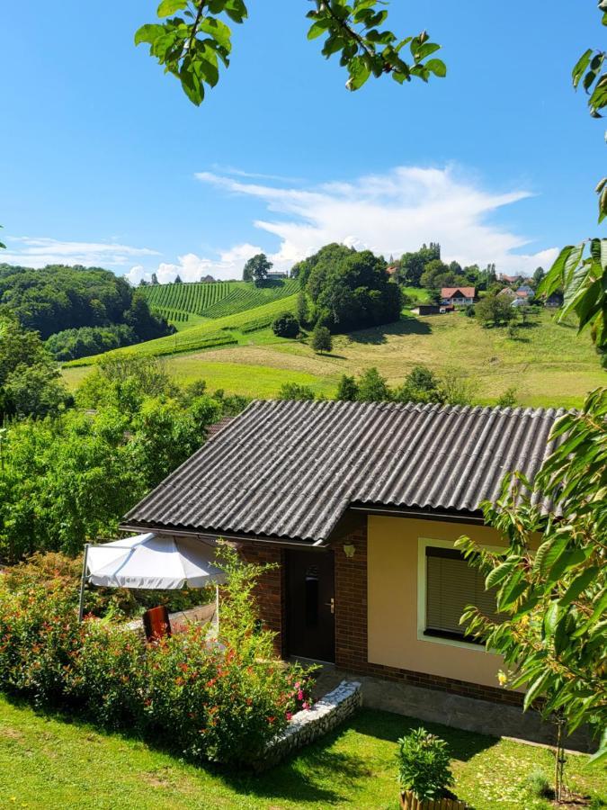 Ferienhaus Zangl Am Seggauberg - Suedsteiermark ライプニッツ エクステリア 写真