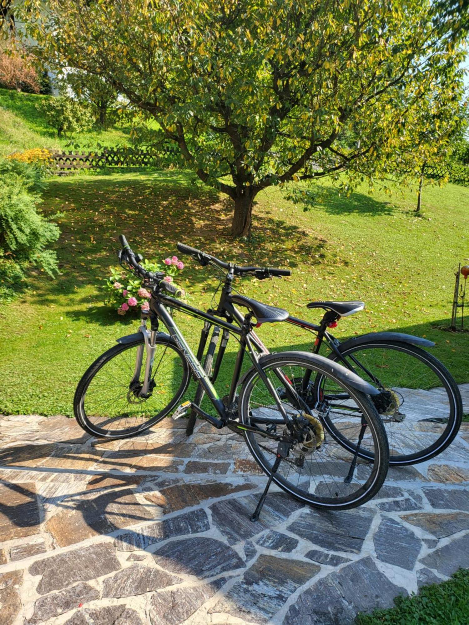 Ferienhaus Zangl Am Seggauberg - Suedsteiermark ライプニッツ エクステリア 写真